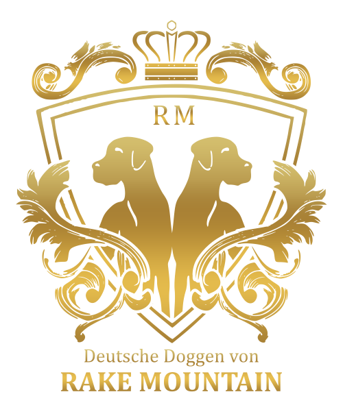 Deutsche Doggen von Rake Mountain